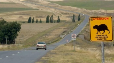 Neumann y Balbín piden un plan integral de infraestructura vial para la VI Sección