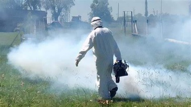 Preocupan los casos de dengue en PBA: se registraron más de 7800 positivos