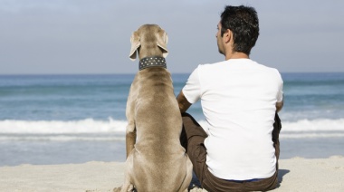 El mejor amigo del hombre: cuánto tiempo recuerdan los perros a su dueño después de morir