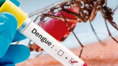 Epidemia de dengue: Kreplak pidió a Nación aumentar la producción de repelente