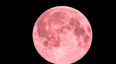 Luna llena Rosa de abril 2024: cómo y a qué hora ver el fenómeno en argentina