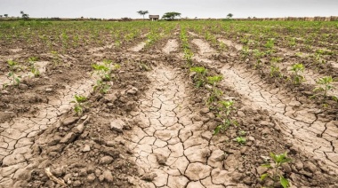 Desde CARBAP piden a Nación que homologue la emergencia agropecuaria