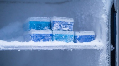 No falla: el sencillo truco casero para evitar que el freezer se llene de hielo