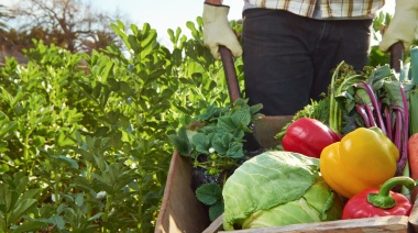 Cuáles son las nuevas tendencias gastronómicas, con el foco en la sustentabilidad