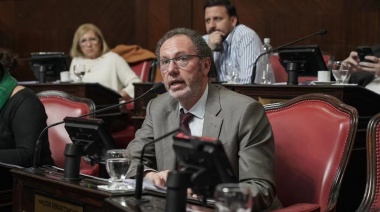 Walter Torchio sobre la aprobación de la Ley Bases: “Implica un cambio en la dirección equivocada”