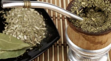 Mate y acidez: qué hierbas naturales hay que agregarle a la infusión para vencer el malestar estomacal