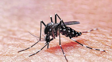 Dengue: los casos superaron los 100 mil en la provincia y el virus aún circula en 20 municipios