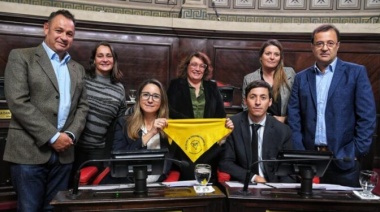 El proyecto de ley de Endometriosis logró media sanción del Senado