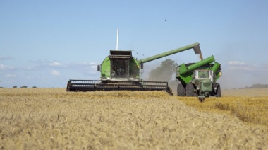 CARBAP denunció un fuerte perjuicio a los productores que deben liquidar sus granos