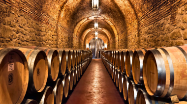 Escapadas en Buenos Aires: los destinos para degustar el mejor vino de la provincia, ¡te están esperando!
