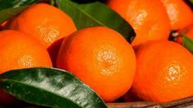 Del campo a la góndola, los precios de los agroalimentos se multiplicaron por 3,1 en julio