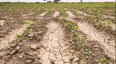 Provincia declaró emergencia agropecuaria en cinco municipios