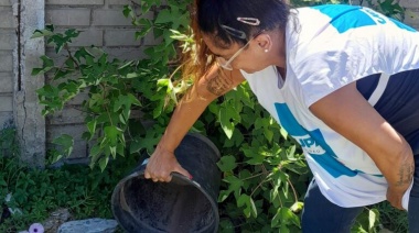 Municipios realizarán una jornada conjunta de prevención contra el Dengue