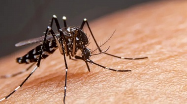 Dengue: comenzó el envío de turnos para vacunación en la región metropolitana de Buenos Aires