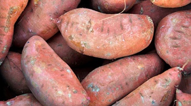 Son parecidas pero con distinto sabor: cómo diferenciar a la batata del boniato