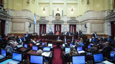 Senado: piden tratar el proyecto de Ficha Limpia en sesiones extraordinarias