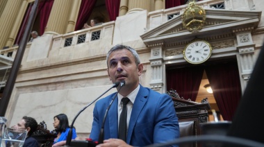 Suspensión de las PASO: La Libertad Avanza convocó a un plenario de comisiones para el martes