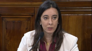 Milei echó a la hija de Domingo Cavallo de la OEA