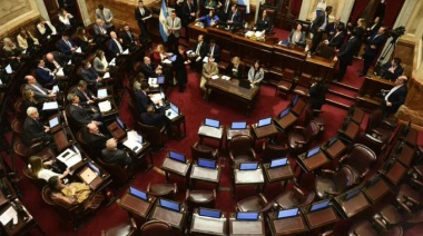 El Senado rechazó crear una comisión que investigue el criptogate