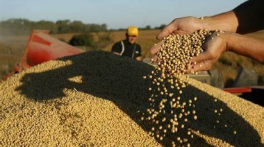 Baja de retenciones a la soja: por qué los productores no venden