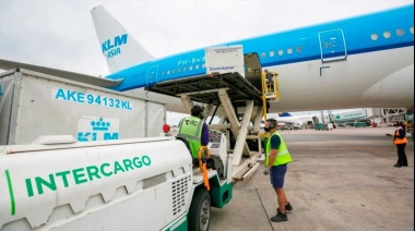 El Gobierno autorizó la privatización total de Intercargo