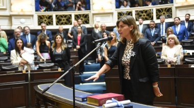 Buscan eliminar las tasas provinciales en las boletas de luz