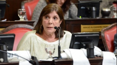 Interna peronista: Senadores de UxP presentaron un proyecto propio para suspender las PASO