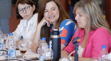 “¿Dónde estaba la unidad cuando no votaron el presupuesto?”: Estela Díaz cruzó a La Cámpora