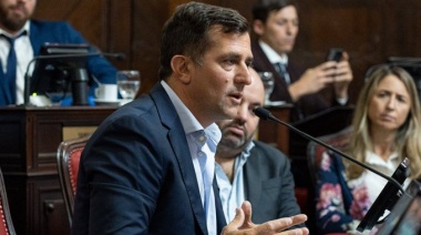 Christian Gribaudo: “El Senado tomó el guante que el Ejecutivo tardó en levantar”