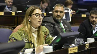 Villarino reclama justicia territorial tras 25 años: impulsan proyecto por las islas Bermejo y Trinidad