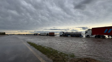 El agro bajo el agua: la Provincia declara la emergencia en 12 distritos