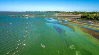 Alarman los altos niveles de cianobacterias en lagunas bonaerenses