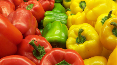 Los colores de los morrones tienen un significado: en qué se diferencian el rojo, verde y amarillo