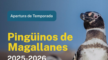 Chubut recibe a los Pingüinos de Magallanes