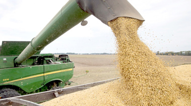 Anunciaron "retenciones cero" a todos los granos