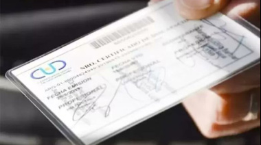 Buscan modificar la ley para que el Certificado Único de Discapacidad no tenga vencimiento