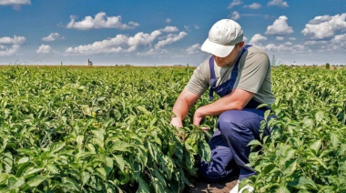 CAME celebró la prórroga del decreto que compatibiliza planes sociales con trabajo rural