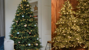 El árbol de Navidad tradicional no se usa más: la tendencia europea que es más moderna y económica para este 2025