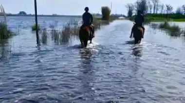CARBAP alerta que las pérdidas rurales impactarán en la economía nacional