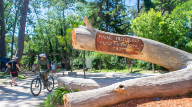 Avanza la restitución de los pinares fundacionales a Villa Gesell