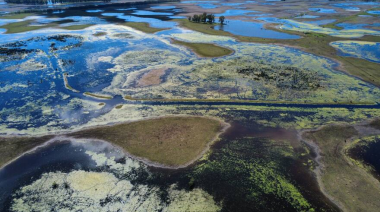 Seis millones de hectáreas bajo el agua: Buenos Aires enfrenta pérdidas por más de u$s2.000 millones