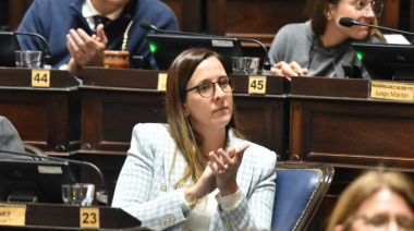 Ley aprobada: se unifica el procedimiento para declaraciones en Cámara Gesell