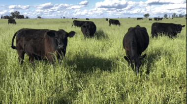 Más cruces por la “tasa al metano”: fuerte rechazo de CARBAP