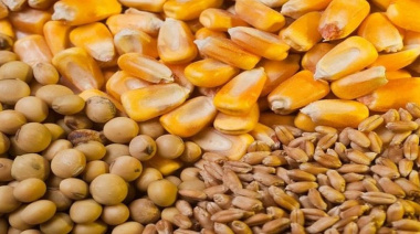 El Gobierno anunció una nueva baja en las retenciones para el campo