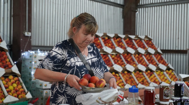 Cultura, sabores y tradición: llega la 50ª Fiesta del Durazno en Mercedes