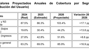 Subisdios energéticos en debate: Diputada cuestiona "impuesto encubierto" en factura de luz y gas