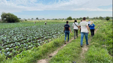 Alarma en el cinturón frutihortícola de La Plata: más del 90% del trabajo rural es informal