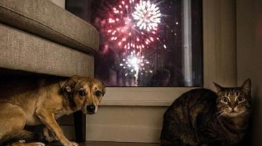 El ruido ya no es sinónimo de festejo