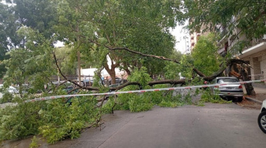Temporal en Mar del Plata: fuertes ráfagas causan destrozos en la Ciudad