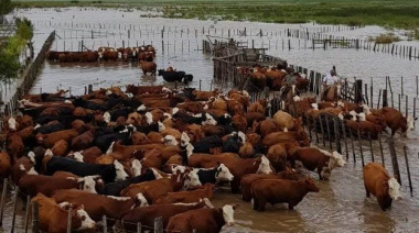 La Provincia prorrogó la emergencia agropecuaria en el sudoeste bonaerense
